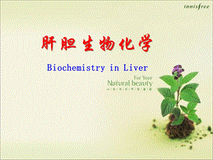 《生物化学：肝胆生物化学》.ppt