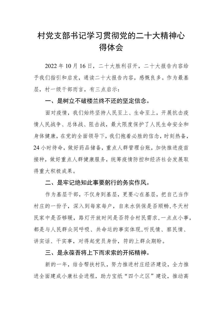 村党支部书记学习贯彻党的二十大精神心得体会.docx_第1页