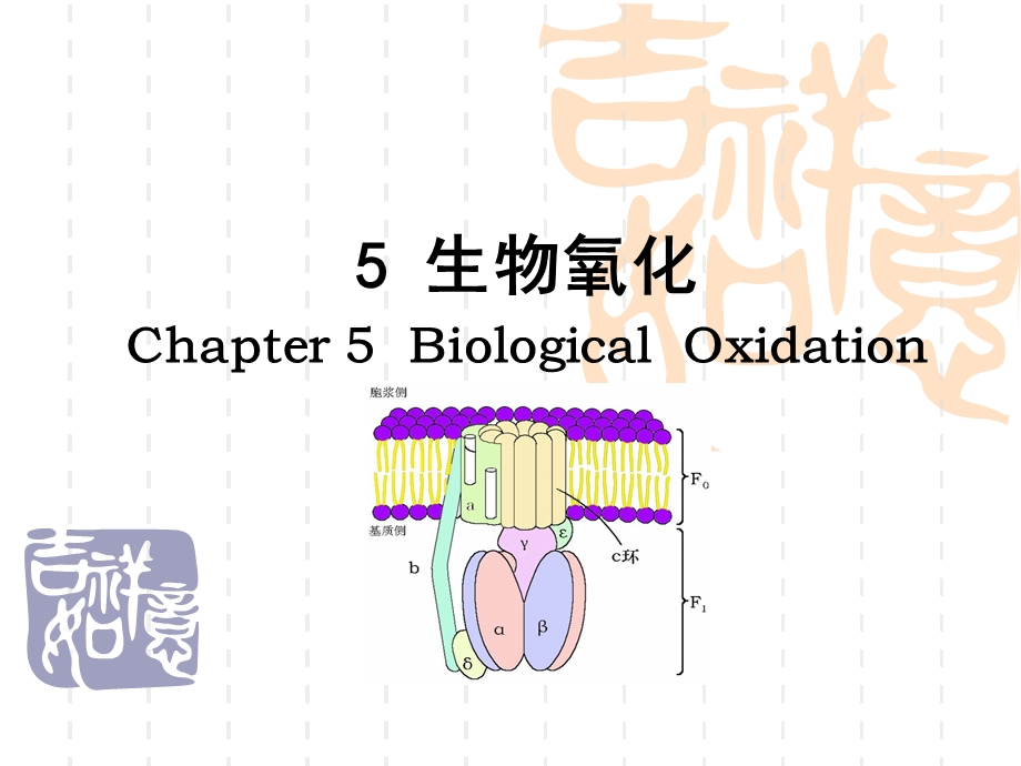 5茶叶生物化学.ppt_第1页