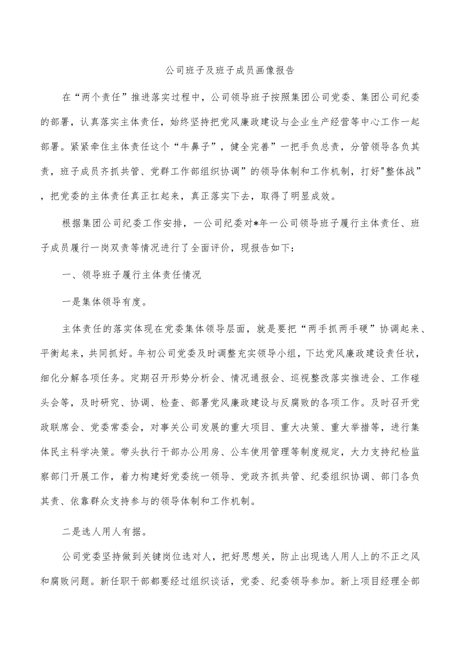 公司班子及班子成员画像报告.docx_第1页