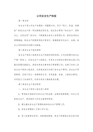 公司安全生产制度（七页）.docx