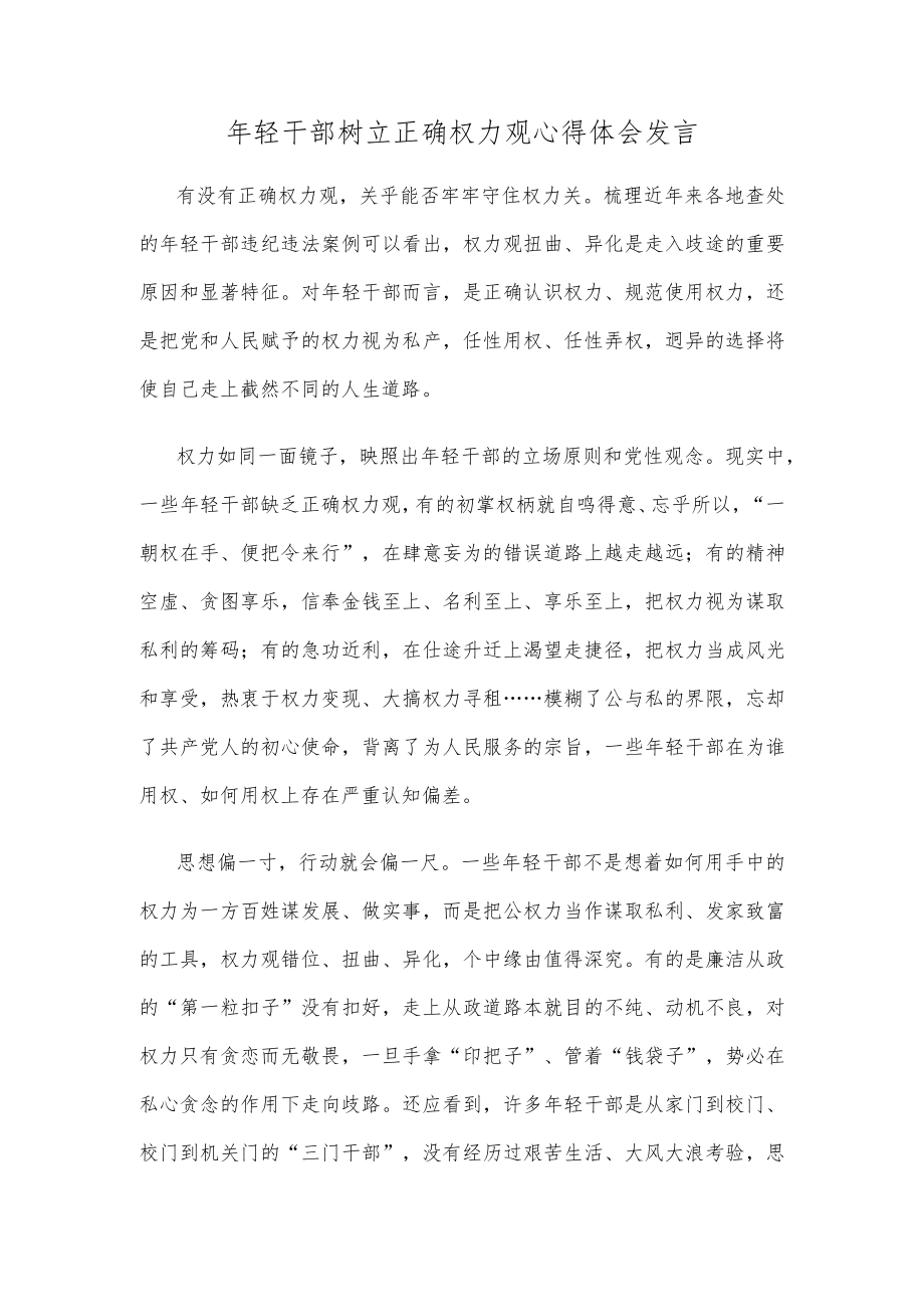 年轻干部树立正确权力观心得体会发言.docx_第1页