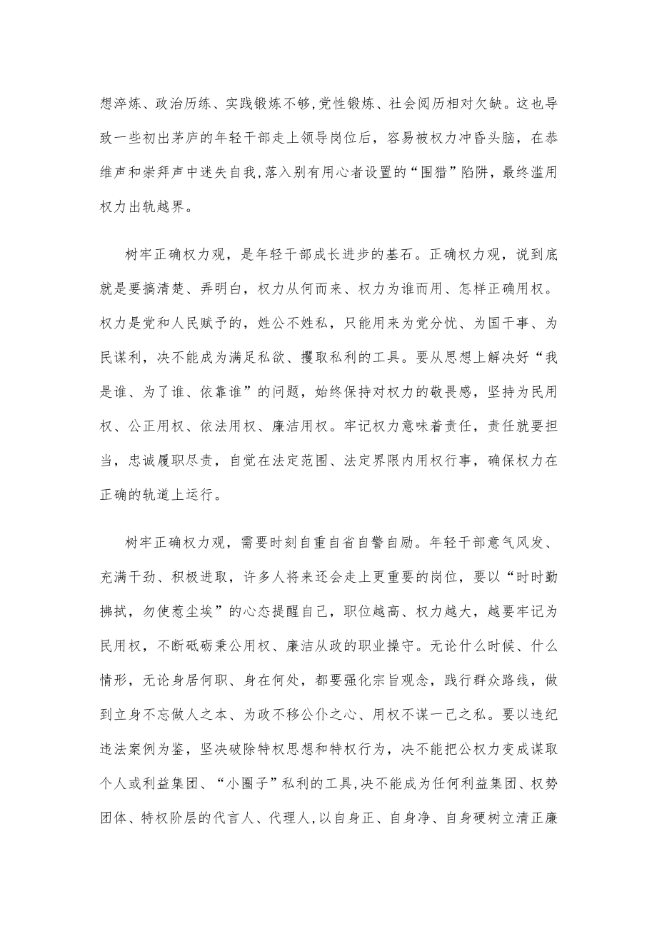 年轻干部树立正确权力观心得体会发言.docx_第2页