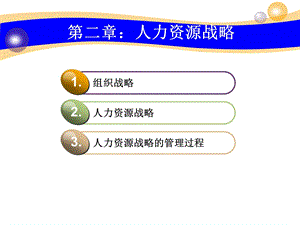 人力资源管理师课件第二章人力资源战略.ppt