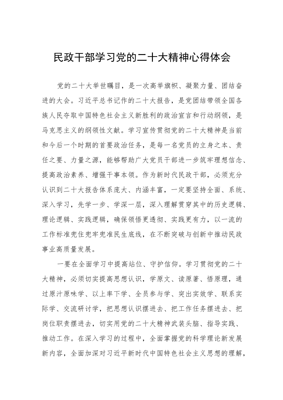 2023年民政系统干部学习党的二十大精神心得体会).docx_第1页