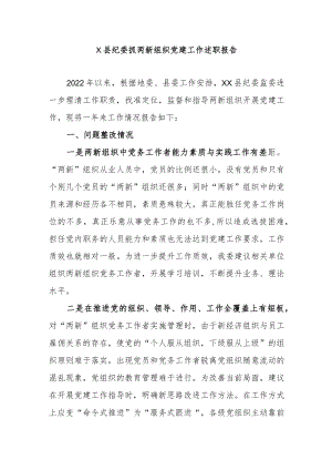 X县纪委抓两新组织党建工作述职报告.docx