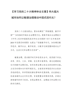 【学习党的二十大精神体会文章】特大超大城市如何以敏捷治理推动中国式现代化？.docx