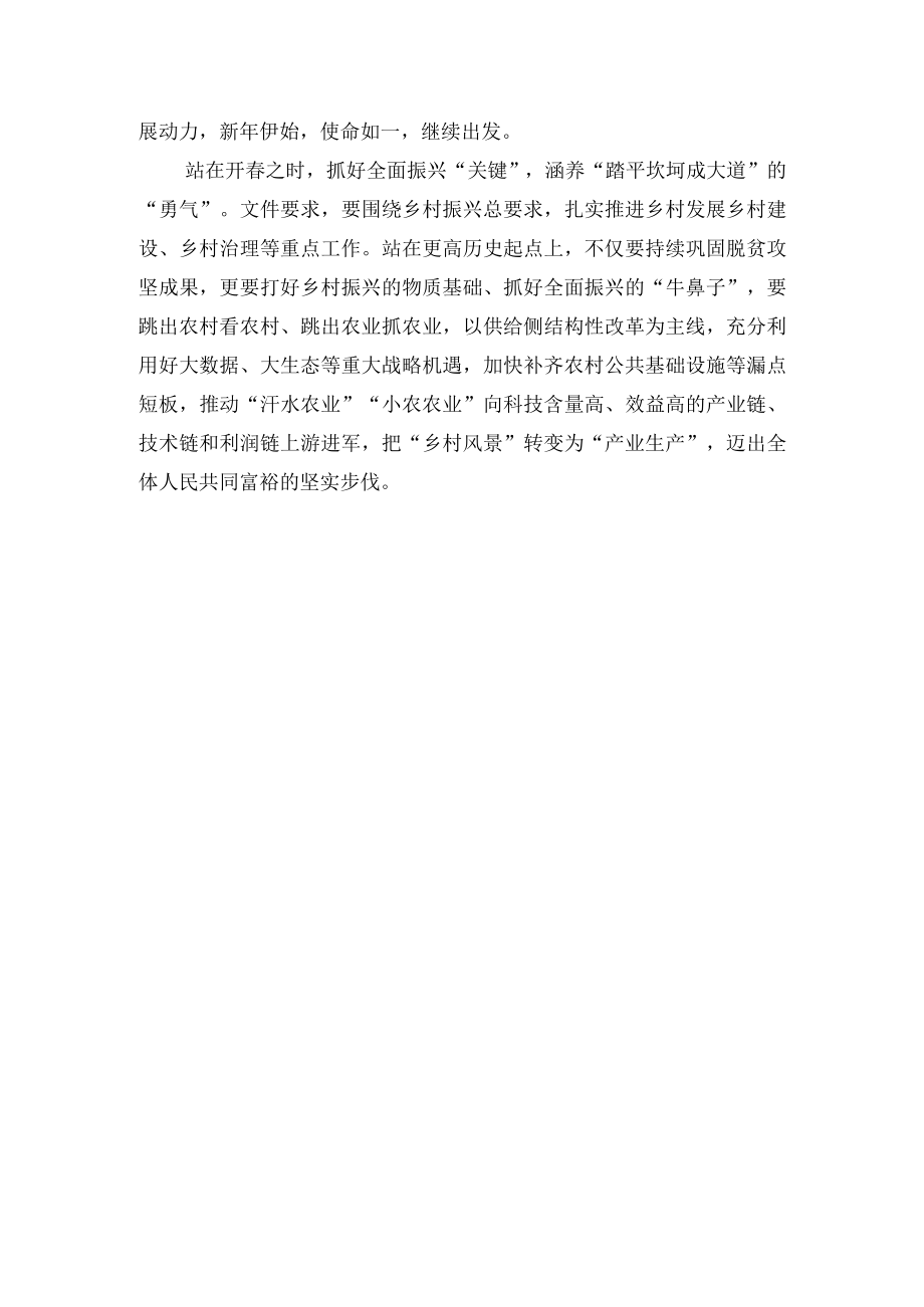 学习贯彻2023年中央一号文件心得研讨发言.docx_第2页