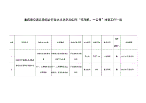 重庆市交通运输综合行政执法总队2022年“双随机、一公开”抽查工作计划.docx