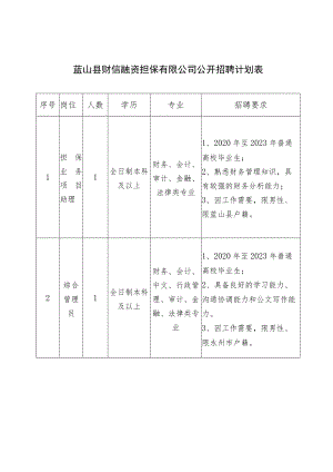 蓝山县财信融资担保有限公司公开招聘计划表.docx