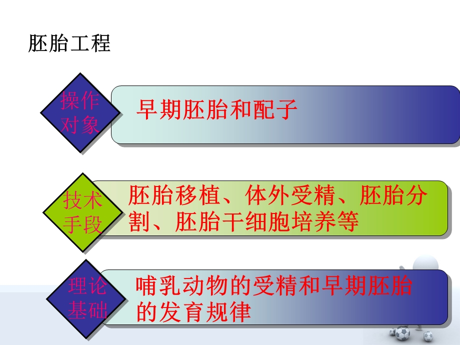 体内受精和早期胚胎发育(公开课课件).ppt_第3页