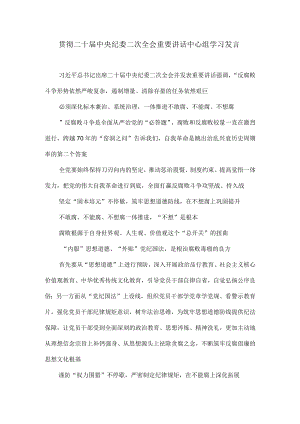 贯彻二十届中央纪委二次全会重要讲话中心组学习发言.docx