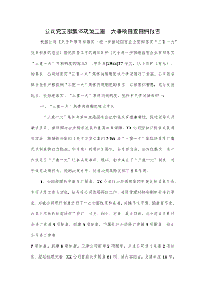 公司党支部集体决策三重一大事项自查自纠报告.docx