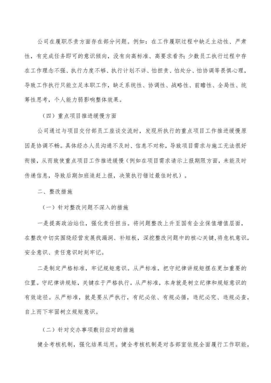 公司慢作为不作为治理报告.docx_第2页