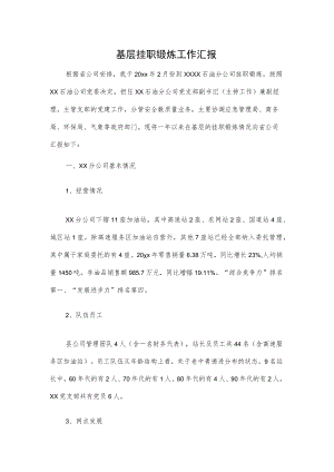 基层挂职锻炼工作汇报.docx