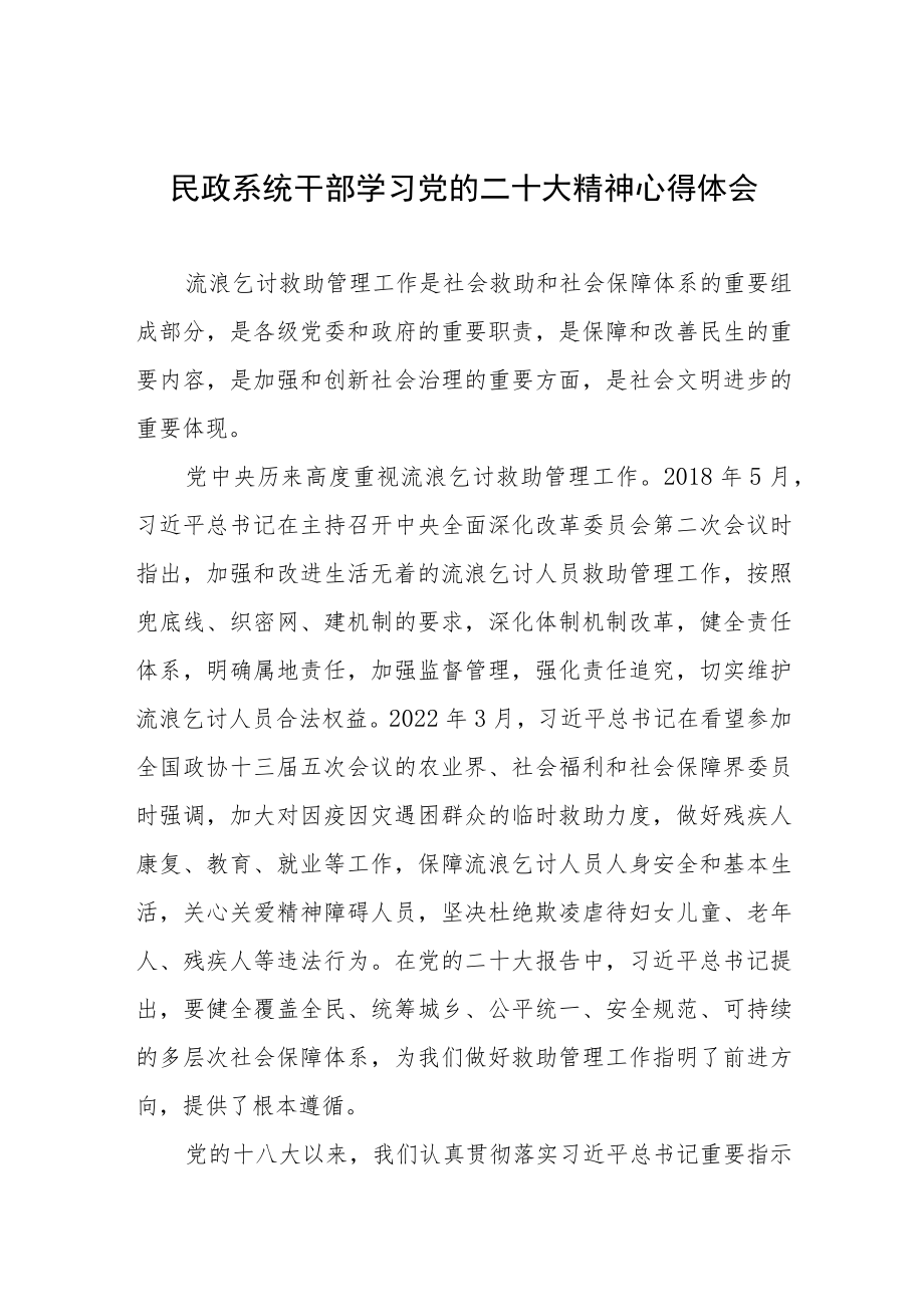 2023年民政系统干部学习党的二十大精神心得体会.docx_第1页