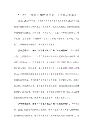 “三农”干部学习2023年中央一号文件心得体会.docx