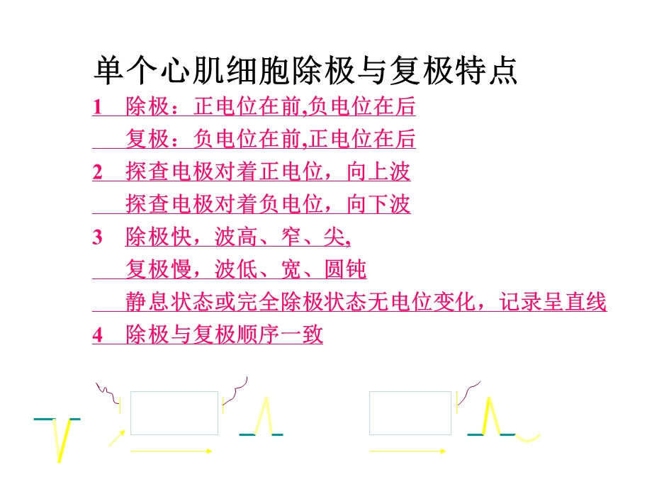 临床心电图分析.ppt_第3页