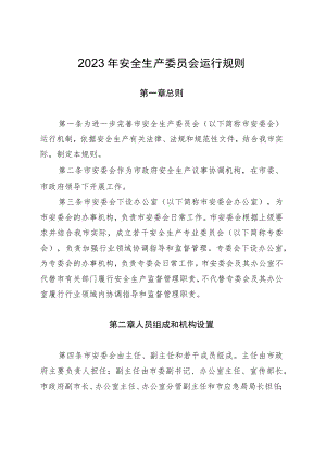 2023年安全生产委员会运行规则.docx