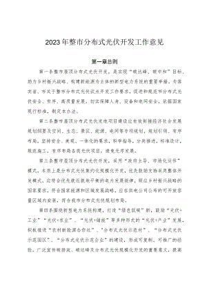 2023年整市分布式光伏开发工作意见.docx