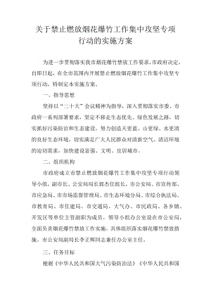 关于禁止燃放烟花爆竹工作集中攻坚专项行动的实施方案.docx