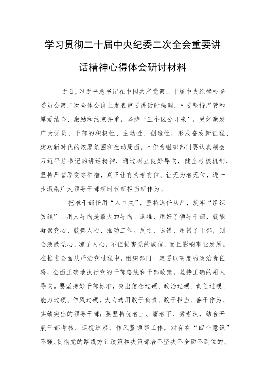 学习贯彻二十届中央纪委二次全会重要讲话精神心得体会研讨材料（把牢“从严治吏”的“关口防线”）.docx_第1页