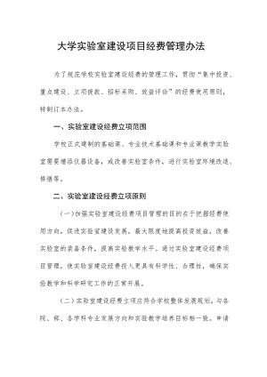 大学实验室建设项目经费管理办法.docx