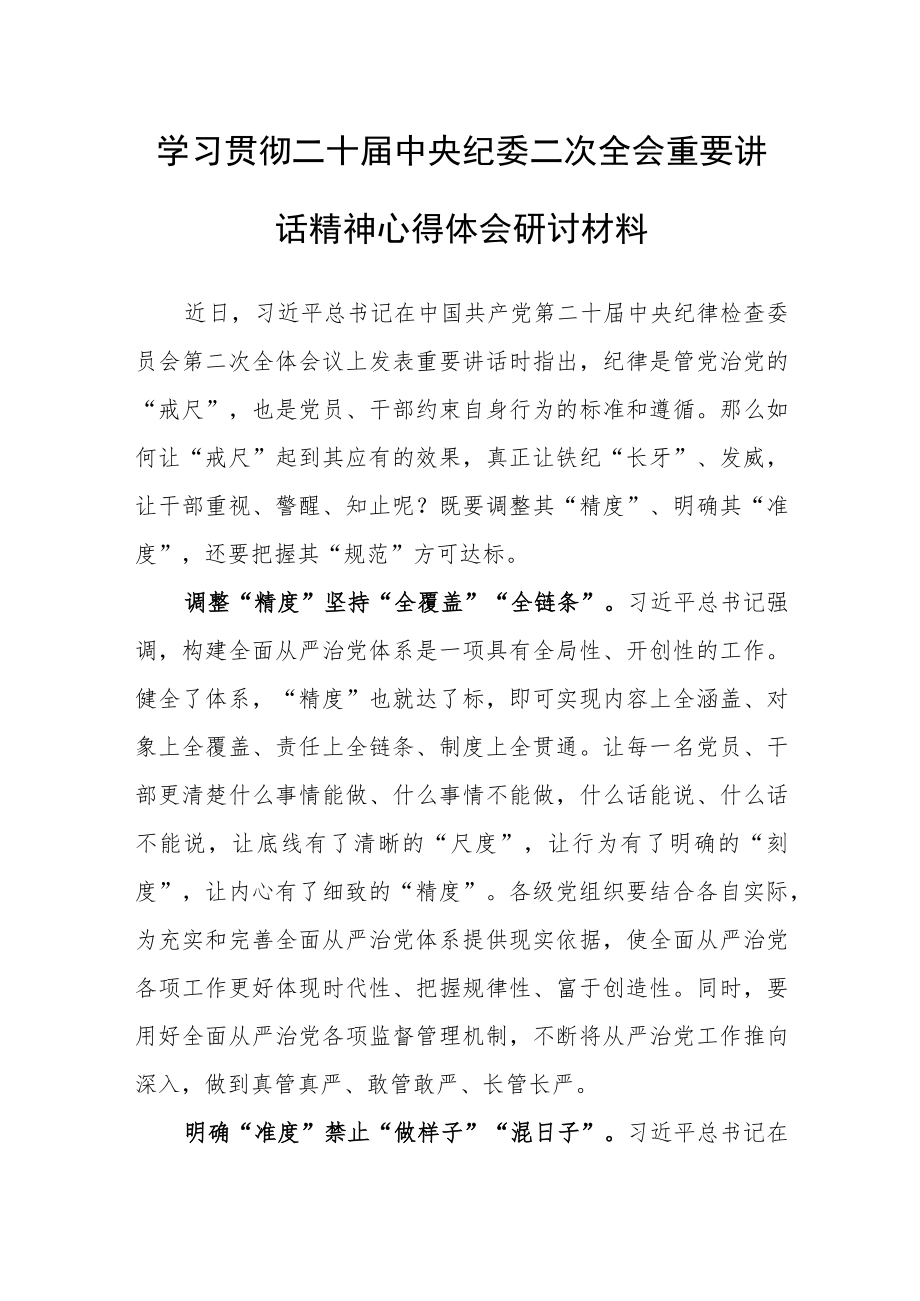 学习贯彻二十届中央纪委二次全会重要讲话精神心得体会研讨材料（“戒尺”达标要“精”“准”“规”）.docx_第1页