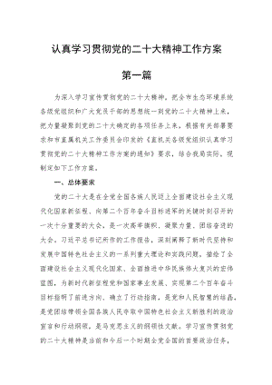 认真学习贯彻党的二十大精神工作方案六篇.docx