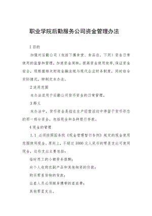 职业学院后勤服务公司资金管理办法.docx