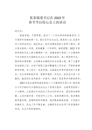 某某镇委书记在2023年春节节后收心会上的讲话.docx