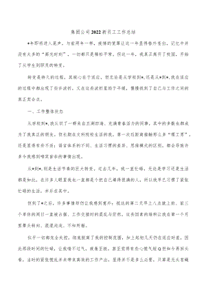 集团公司2022新员工工作总结.docx