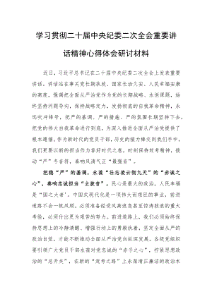 学习贯彻二十届中央纪委二次全会重要讲话精神心得体会研讨材料（拨动“严”冬音符 奏响风清气正“最强音”）.docx