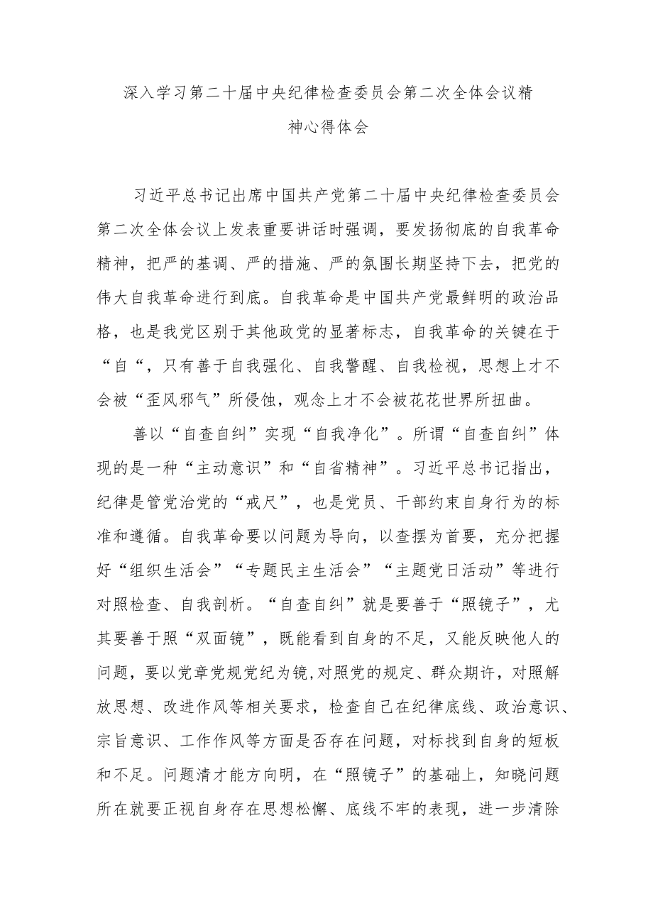 深入学习第二十届中央纪律检查委员会第二次全体会议精神心得体会3篇.docx_第1页