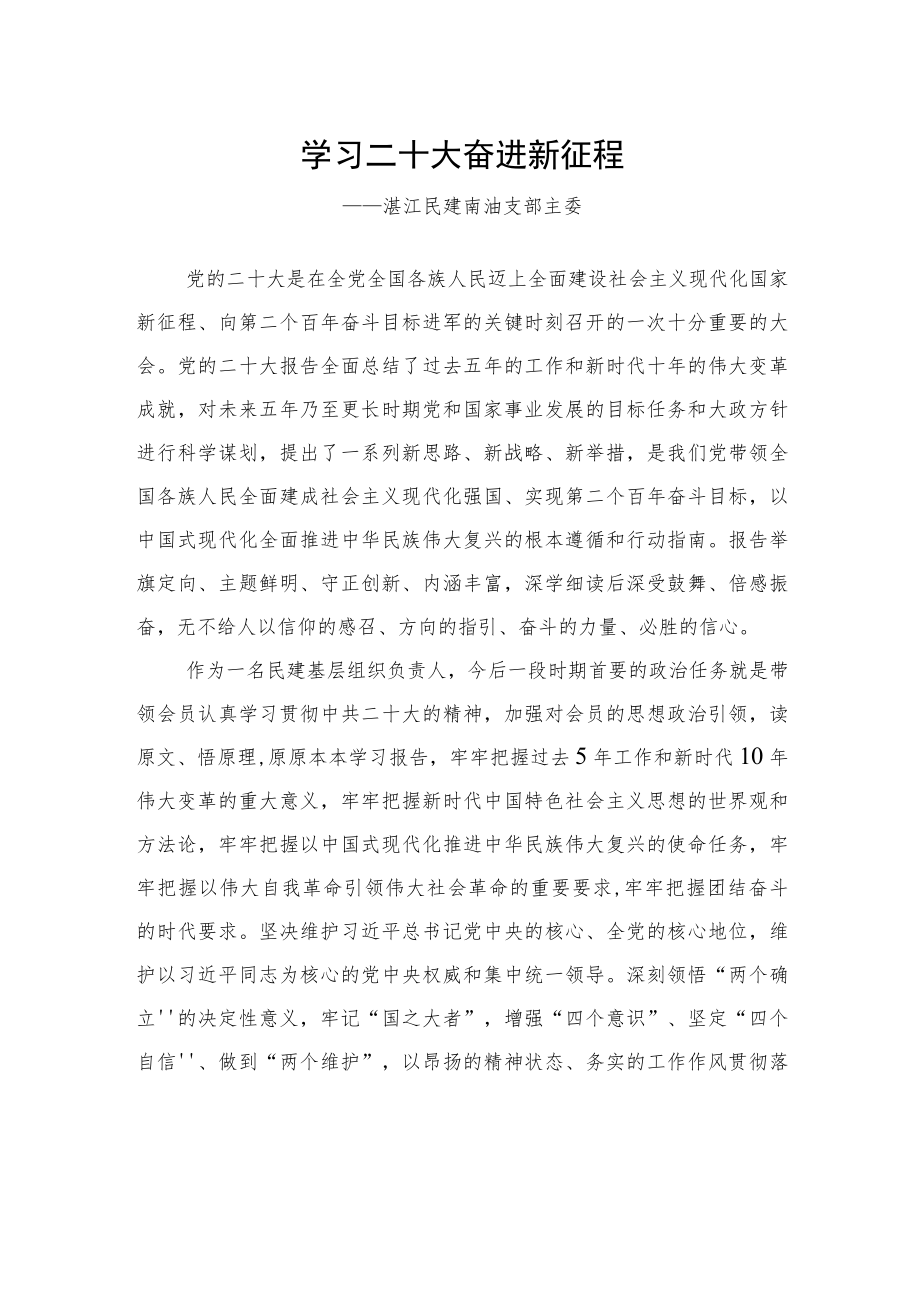 湛江民建南油支部主委谈二十大心得体会（20230119）.docx_第1页