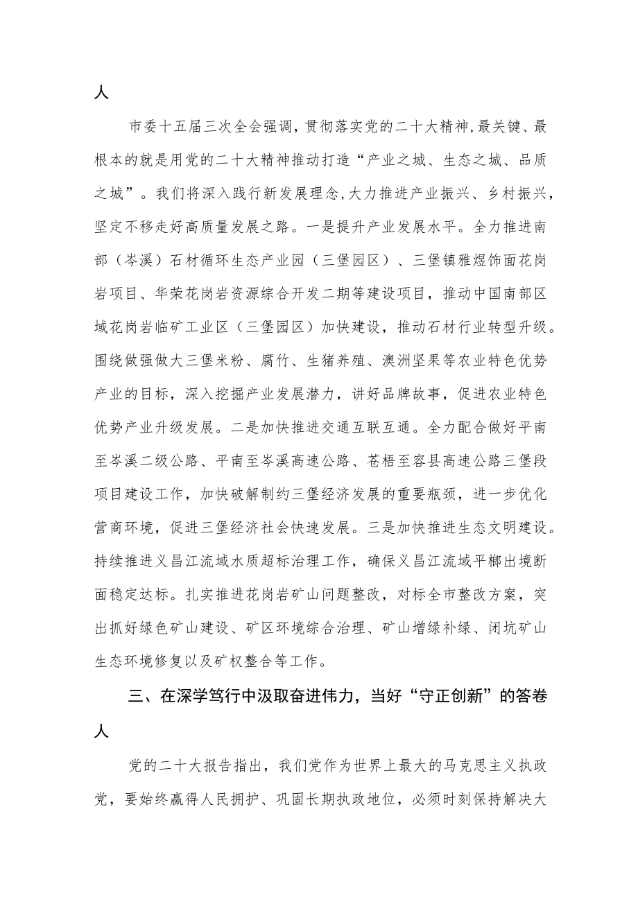 乡镇党委书记贯彻落实学习二十大精神报告心得体会研讨发言材料【五篇】.docx_第2页