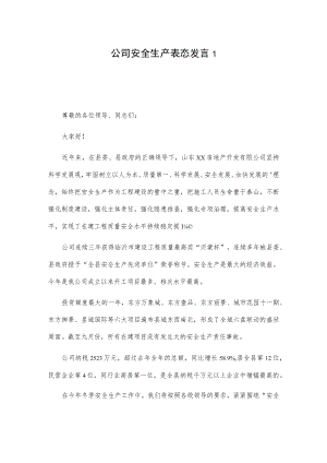 xx公司安全生产表态发言2篇.docx