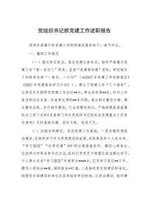 党组织书记抓党建工作述职报告.docx