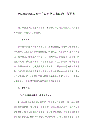 2023年全市安全生产与自然灾害防治工作要点.docx