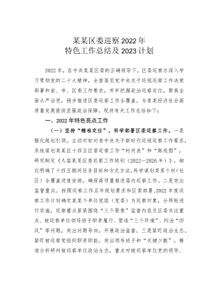 某某区委巡察2022年特色工作总结及2023计划.docx