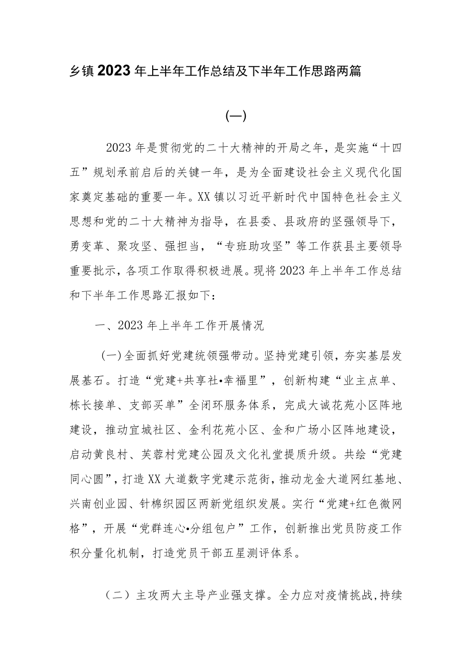 乡镇2023年上半年工作总结及下半年工作思路两篇.docx_第1页