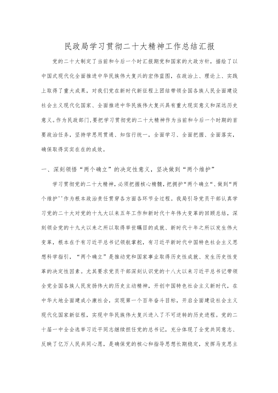 民政局学习贯彻二十大精神工作总结汇报.docx_第1页