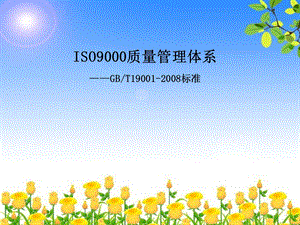 ISO9000质量管理体系标准.ppt