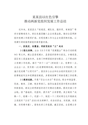 某某县以红色引擎推动两新党组织发展工作总结.docx