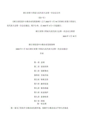 浙江省促进中小微企业发展条例.docx