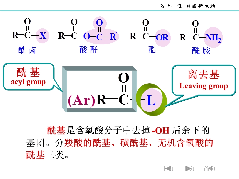 大学有机化学羧酸衍生物.ppt_第3页