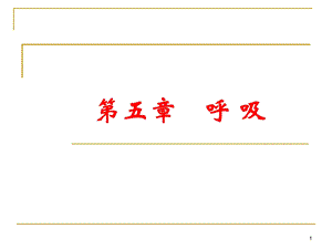 呼吸生理学PPT课件.ppt