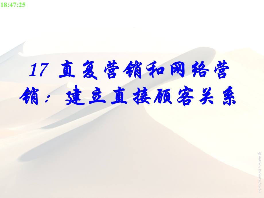 17直复营销和网络营销.ppt_第1页