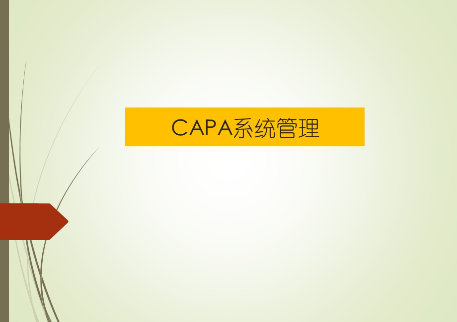 CAPA系统管理.ppt_第1页