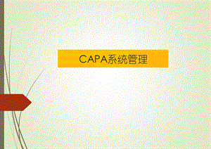 CAPA系统管理.ppt